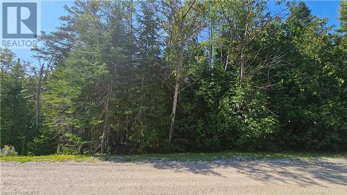 Pt Lt 35 Con 3 Wbr Murray Avenue, Northern Bruce Peninsula, ON 