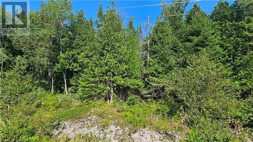 Pt Lt 35 Con 3 Wbr Murray Avenue, Northern Bruce Peninsula, ON 