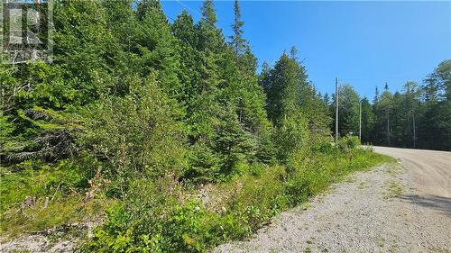 Pt Lt 35 Con 3 Wbr Murray Avenue, Northern Bruce Peninsula, ON 