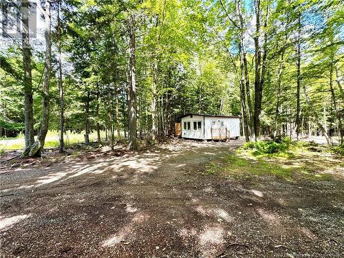 46 Mill Road, Lakeville Corner, NB 