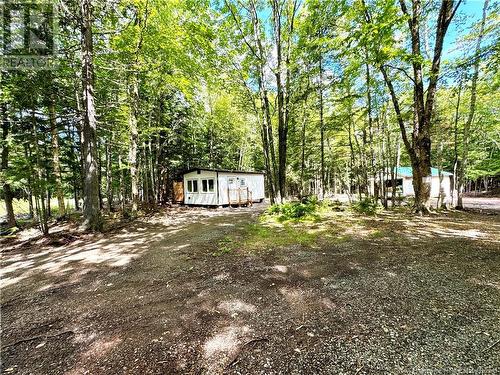 46 Mill Road, Lakeville Corner, NB 