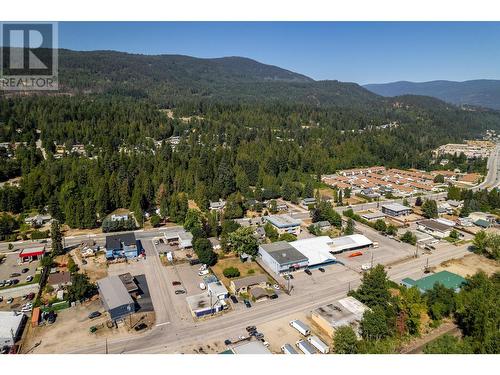 2250 6Th  Avenue, Castlegar, BC - Outdoor With View