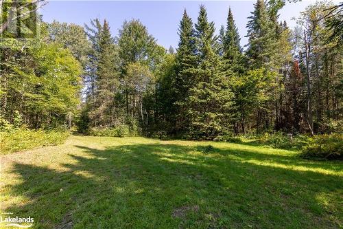 Lot 15 Concession 11, Huntsville, ON 