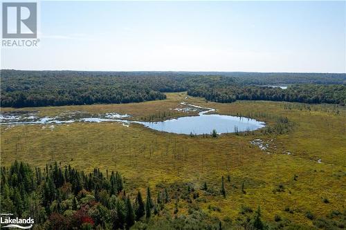 Lot 15 Concession 11, Huntsville, ON 