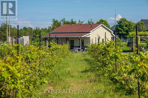 3609 County Rd 8, Prince Edward County (Picton), ON 