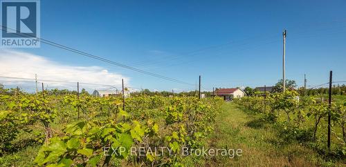 3609 County Rd 8, Prince Edward County (Picton), ON 