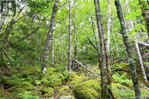 Lot 86-104 Fundy Drive, Wilsons Beach, NB 