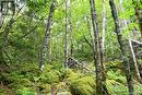 Lot 86-104 Fundy Drive, Wilsons Beach, NB 