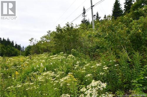 Lot 86-104 Fundy Drive, Wilsons Beach, NB 