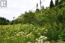 Lot 86-104 Fundy Drive, Wilsons Beach, NB 