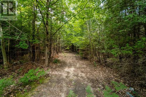 5349 30Th Side Road, Essa, ON 