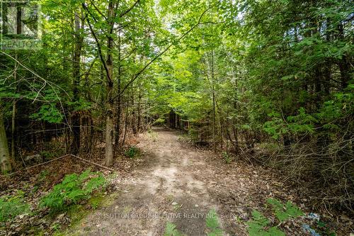 5349 30Th Side Road, Essa, ON 