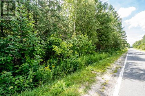 5349 30Th Side Road, Essa, ON 