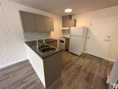 11902 127 Av Nw, Edmonton, AB - Indoor Photo Showing Kitchen With Double Sink