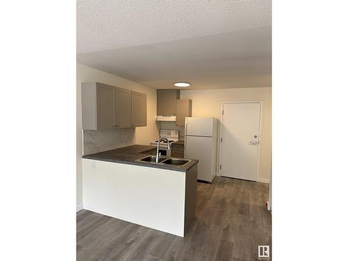 11902 127 Av Nw, Edmonton, AB - Indoor Photo Showing Kitchen With Double Sink