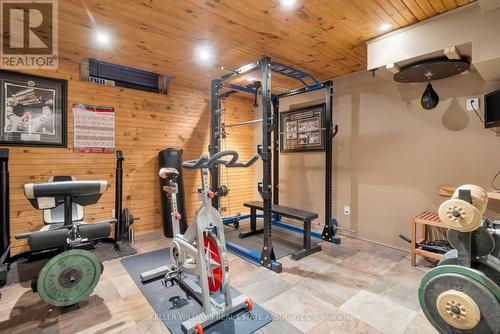 53 North Riverdale Drive, Caledon (Inglewood), ON - Indoor Photo Showing Gym Room