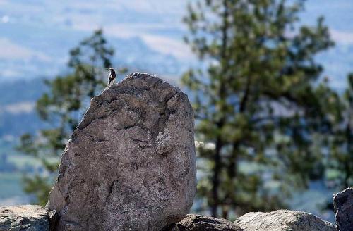 1958 Hidden Lake Place, Kelowna, BC - Outdoor With View