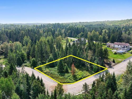 Land/Lot - Ch. Des Lys, Lac-Etchemin, QC 