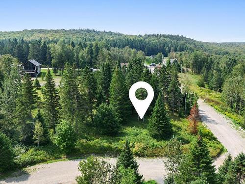 Land/Lot - Ch. Des Lys, Lac-Etchemin, QC 