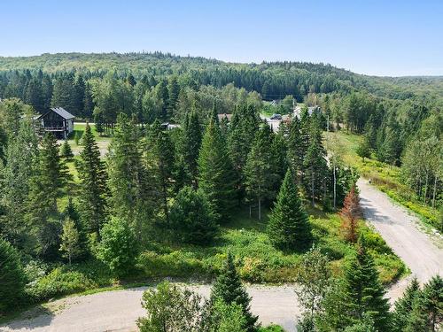 Land/Lot - Ch. Des Lys, Lac-Etchemin, QC 