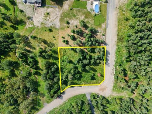 Land/Lot - Ch. Des Lys, Lac-Etchemin, QC 