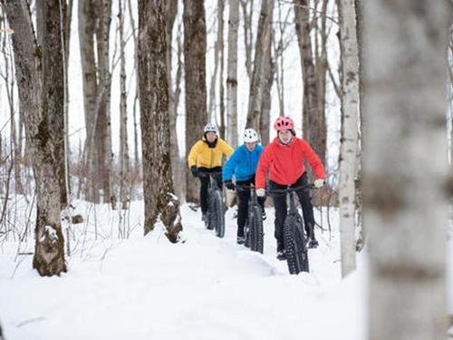 Other - Rue De La Musarde, Wentworth-Nord, QC 