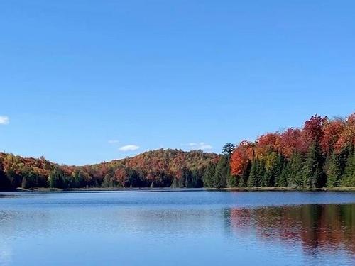 Rue De La Musarde, Wentworth-Nord, QC 