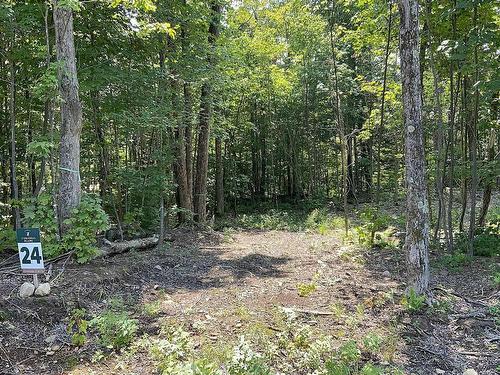 Land/Lot - Rue De La Musarde, Wentworth-Nord, QC 