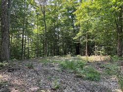 Land/Lot - 