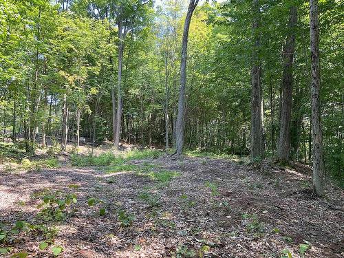 Land/Lot - Rue De La Musarde, Wentworth-Nord, QC 