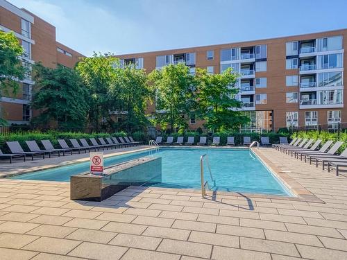 Piscine - 301-210 Ch. Du Golf, Montréal (Verdun/Île-Des-Soeurs), QC - Outdoor With In Ground Pool