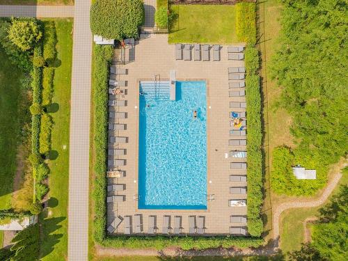 Piscine - 301-210 Ch. Du Golf, Montréal (Verdun/Île-Des-Soeurs), QC - Outdoor