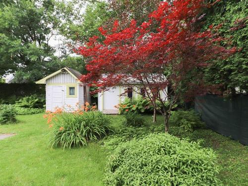 Garden - 12510 89E Avenue, Montréal (Rivière-Des-Prairies/Pointe-Aux-Trembles), QC - Outdoor