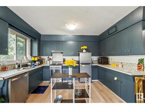 11155 101 St Ne, Edmonton, AB - Indoor Photo Showing Kitchen With Double Sink