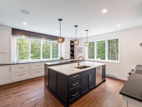 Cuisine - 4 Rue De La Rivière, Lac-Brome, QC - Indoor Photo Showing Kitchen With Double Sink