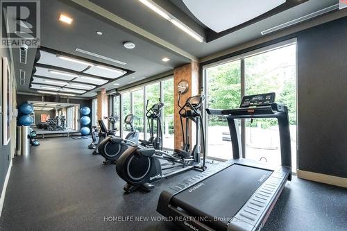 1002 - 18 Graydon Hall Drive, Toronto (Parkwoods-Donalda), ON - Indoor Photo Showing Gym Room