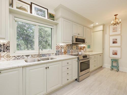 Cuisine - 73 Rue Butternut, Hudson, QC - Indoor Photo Showing Kitchen With Double Sink