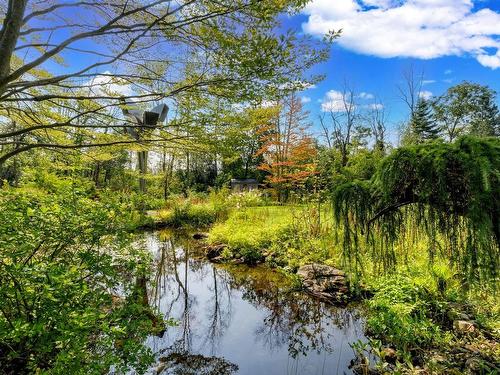 Backyard - 73 Rue Butternut, Hudson, QC - Outdoor With View