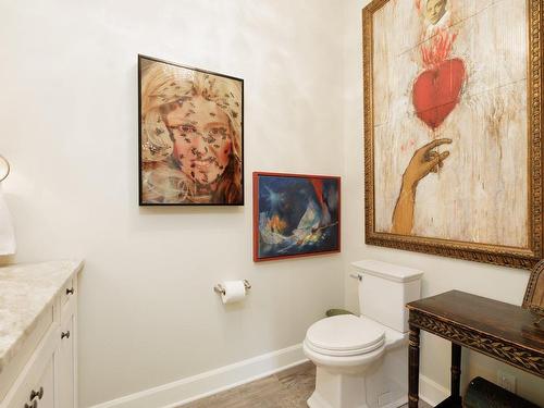 Powder room - 73 Rue Butternut, Hudson, QC - Indoor Photo Showing Bathroom