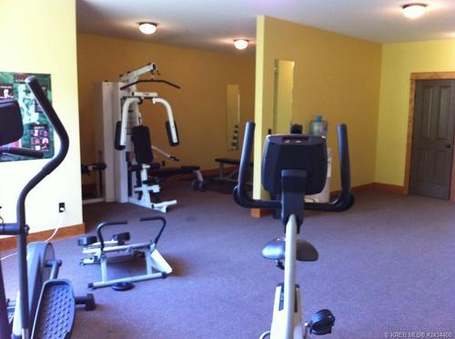 631C - 4559 Timberline Crescent, Fernie, BC - Indoor Photo Showing Gym Room