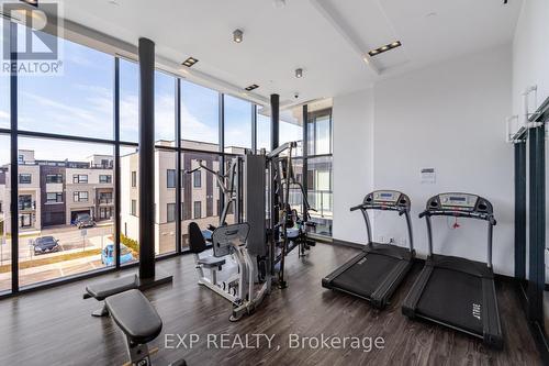 A216 - 1117 Cooke Boulevard, Burlington (Lasalle), ON - Indoor Photo Showing Gym Room