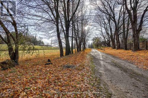 20364 St. Andrews Road, Caledon, ON - Outdoor With View