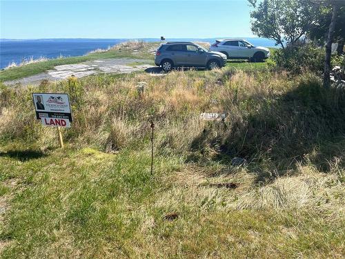 90 Meadow Road, Upper Island Cove, NL 