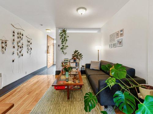 Salon - 1313  - 1317 Rue St-Zotique E., Montréal (Rosemont/La Petite-Patrie), QC - Indoor Photo Showing Living Room