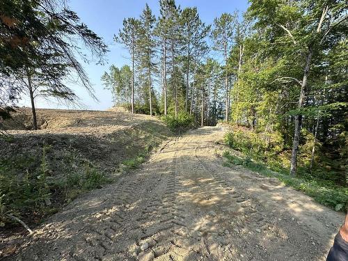 Land/Lot - Rue Marilyn, Duhamel-Ouest, QC 