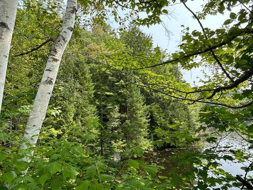 Waterfront - Ch. Wildwood, Saint-Adolphe-D'Howard, QC 