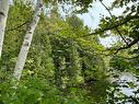 Bord de l'eau - Ch. Wildwood, Saint-Adolphe-D'Howard, QC 