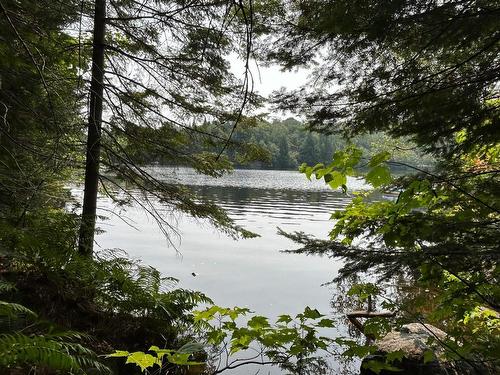 Bord de l'eau - Ch. Wildwood, Saint-Adolphe-D'Howard, QC 