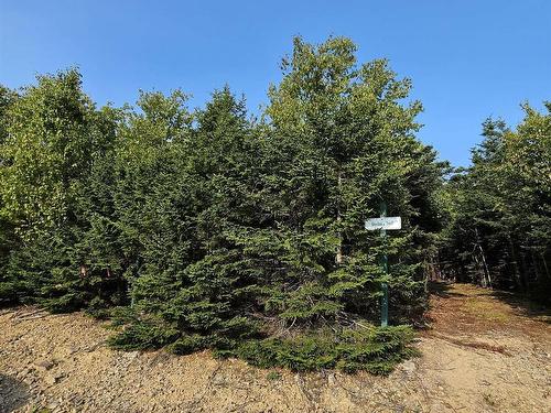 Lot 52 Fundy Lane, Two Islands, NS 