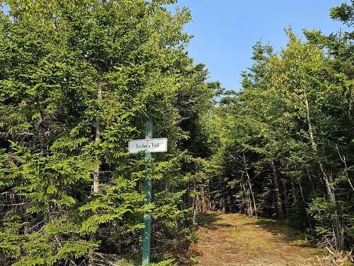 Lot 52 Fundy Lane, Two Islands, NS 